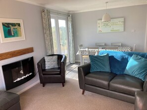 Smart-tv, een open haard, een dvd-speler en boeken