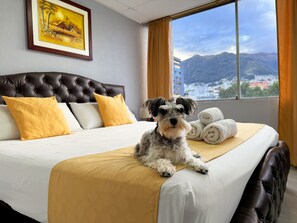 Pet-friendly