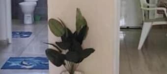 Studio in downtown Tozeur