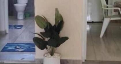 Studio in downtown Tozeur