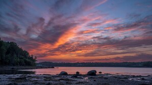 A beach with rocks and trees at sunset. - Coastal Blue Heron Apartment at Tapley Farm, Blue Hill Peninsula, Acadia (Brooksville)