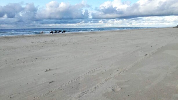A beach with a clear sky and a group of people riding horses. - 6 Person Holiday Park Home in Pandrup (Pandrup)