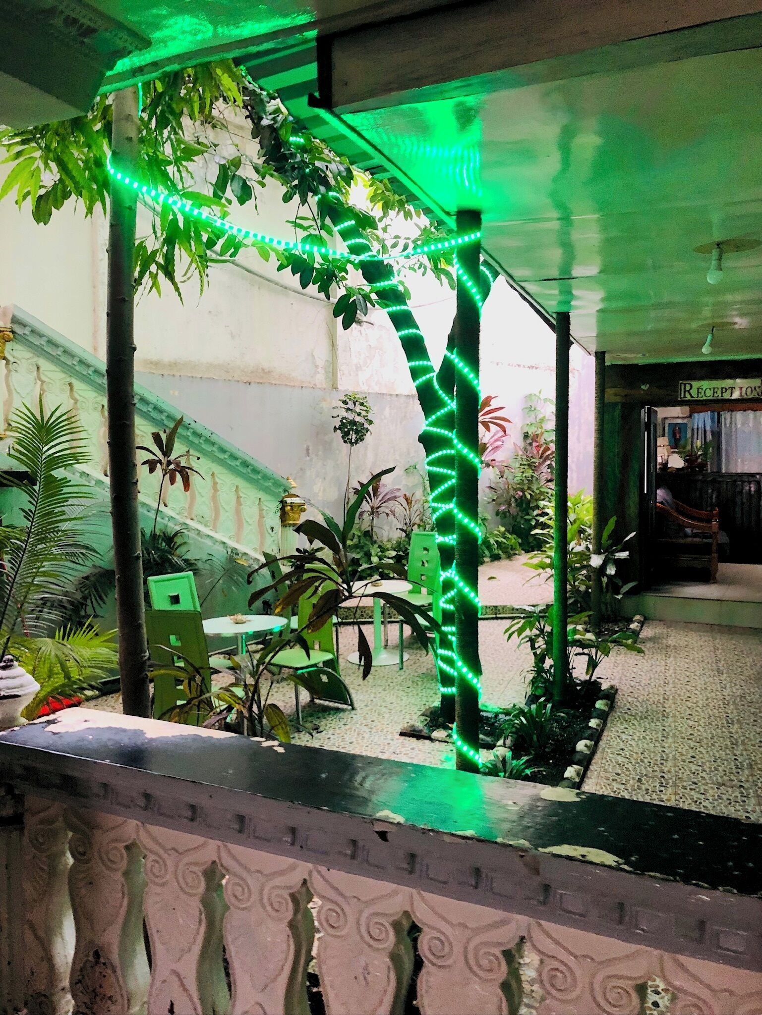 A covered outdoor area with green LED lights, potted plants, and a reception area in the background.