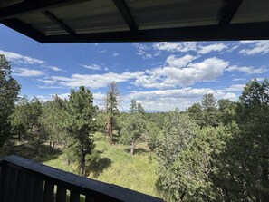 Vue depuis un espace extérieur abrité, doté d’une rambarde en bois, donnant sur un paysage boisé composé de différentes espèces d’arbres et offrant une vue sur un ciel dégagé.