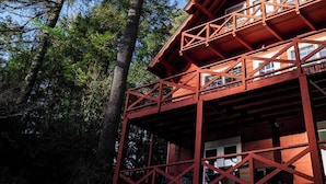 Eine Holzhütte, umgeben von hohen Kiefern.