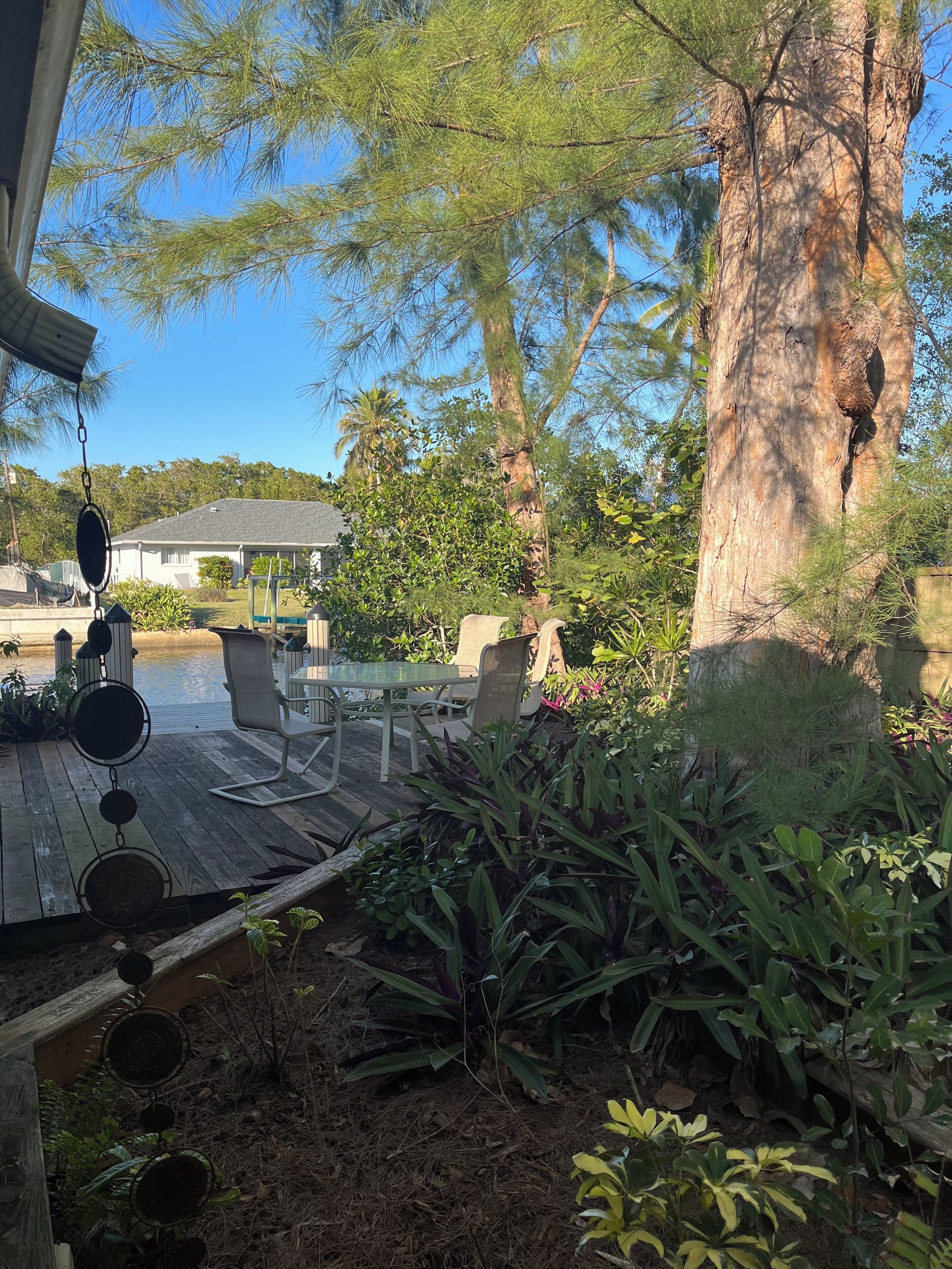 Une terrasse en bois, agréée de mobilier d’extérieur, entourée d’une végétation luxuriante et d’un grand arbre.