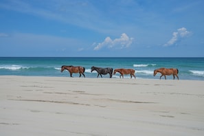 Praia