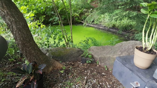 Overnatningsstedets område