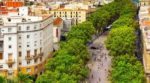 A tree-lined pedestrian street with buildings on either side.