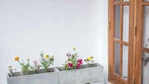 Un bac à fleurs en béton, orné de différentes fleurs, est placé contre un mur blanc, à côté d’une porte en bois dotée de panneaux de verre.