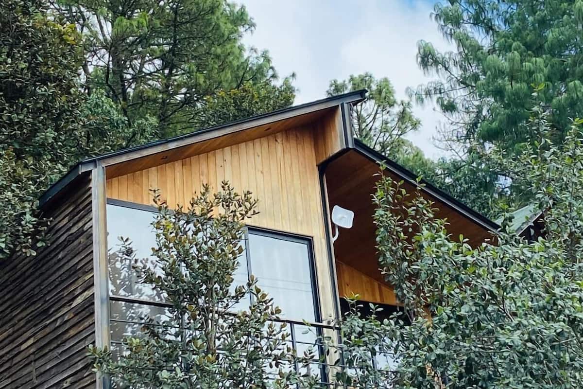 A modern wooden cabin with a balcony, surrounded by dense foliage.