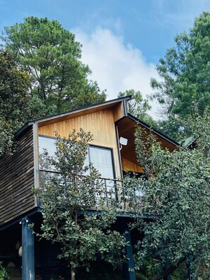 Ropa de cama de alta calidad, decoración personalizada y wifi gratis 