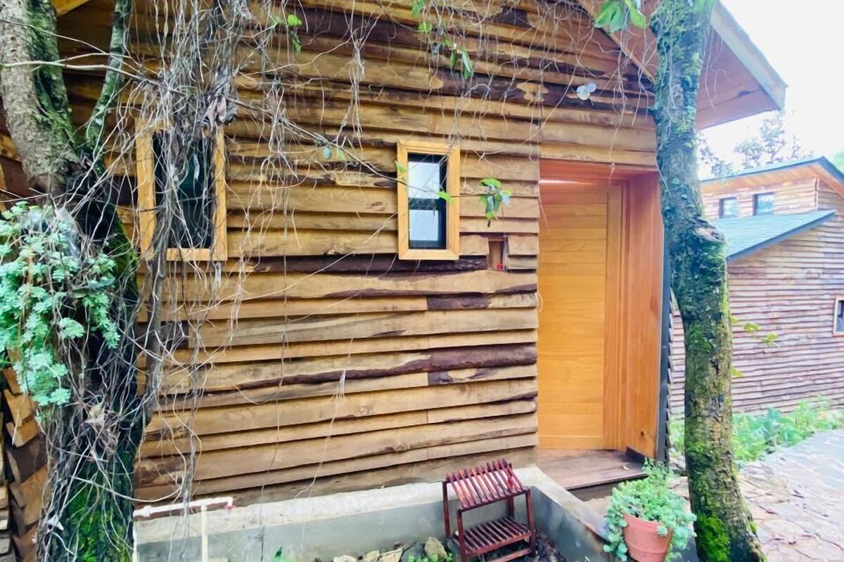 Family Cabin