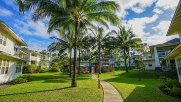Terrain de l’hébergement