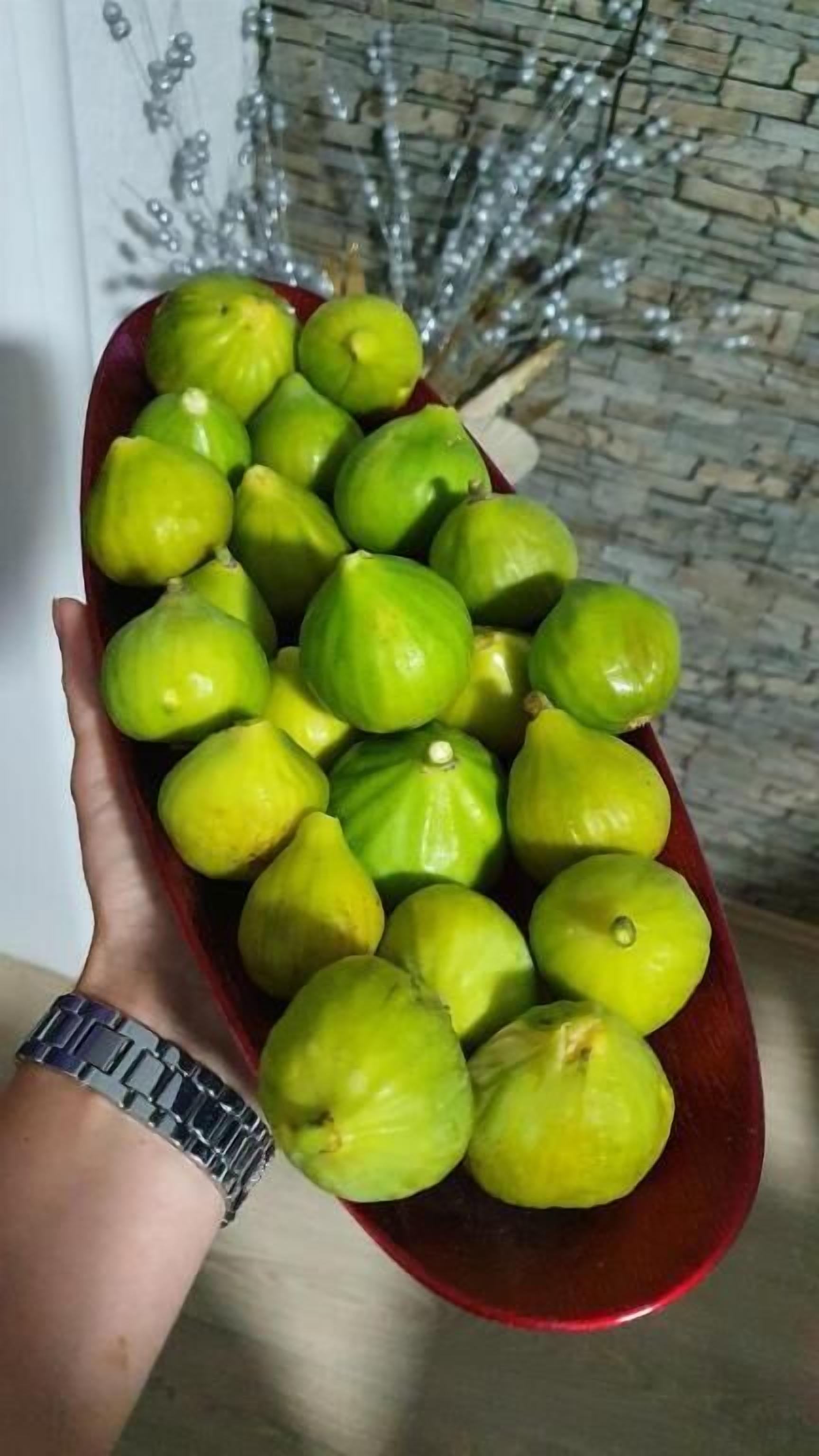 A hand holding a red bowl filled with green figs.
