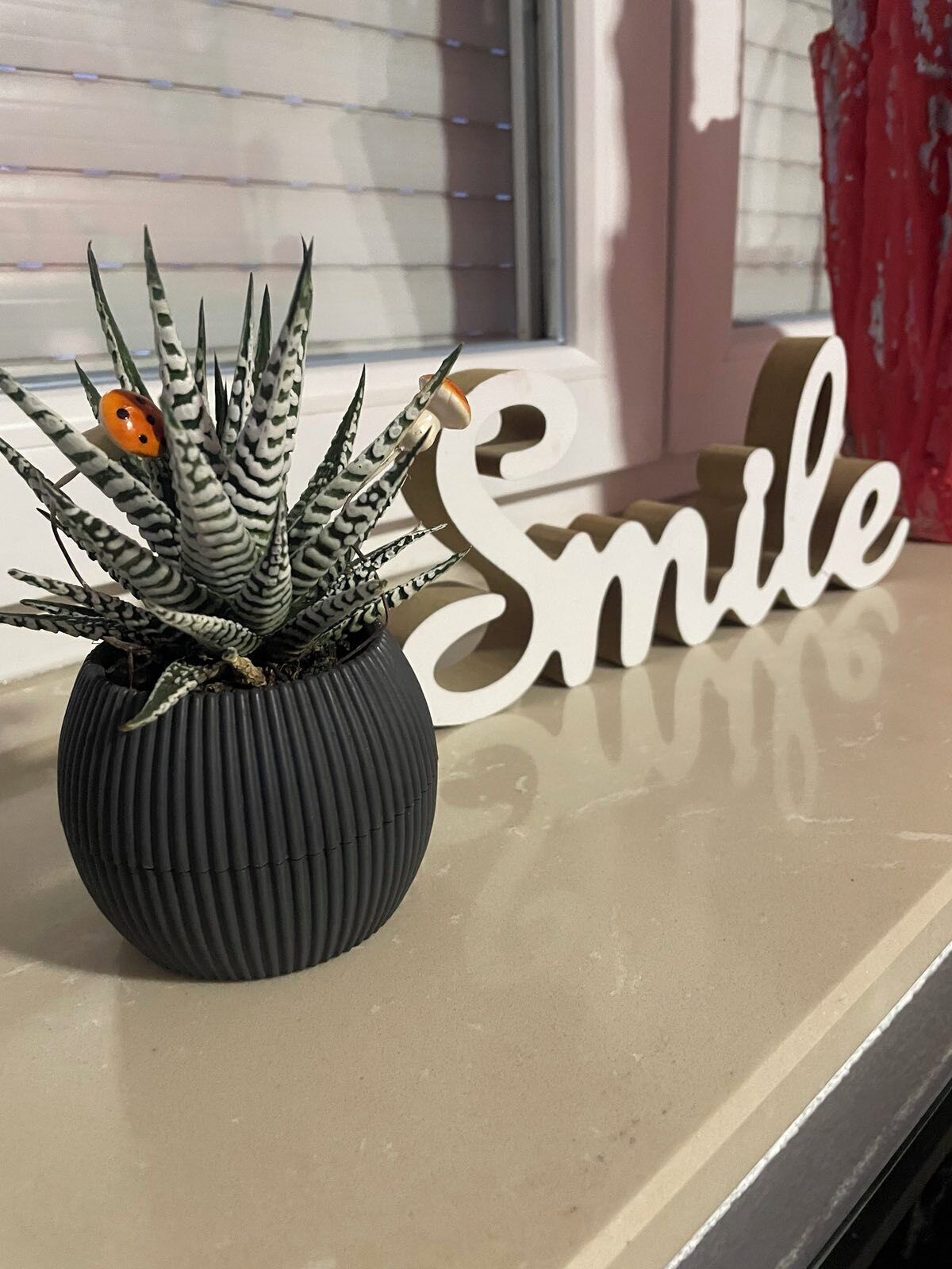 Une plante en pot, sur laquelle est posée une coccinelle, est placée sur un rebord de fenêtre, à côté d’une pancarte sur laquelle on peut lire « Souriez ».
