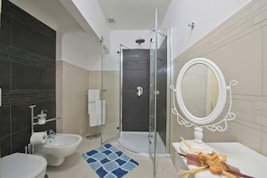 Shower, hair dryer, bidet, towels