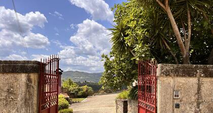 Nomad's Country - Cimo de Vila Apt VI