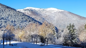 A mountain with snow-covered trees and a clear sky.