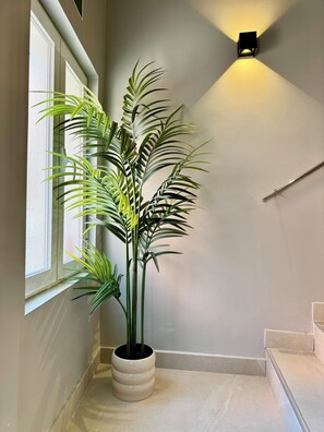 Een potplant in een hoek met een wandlamp.