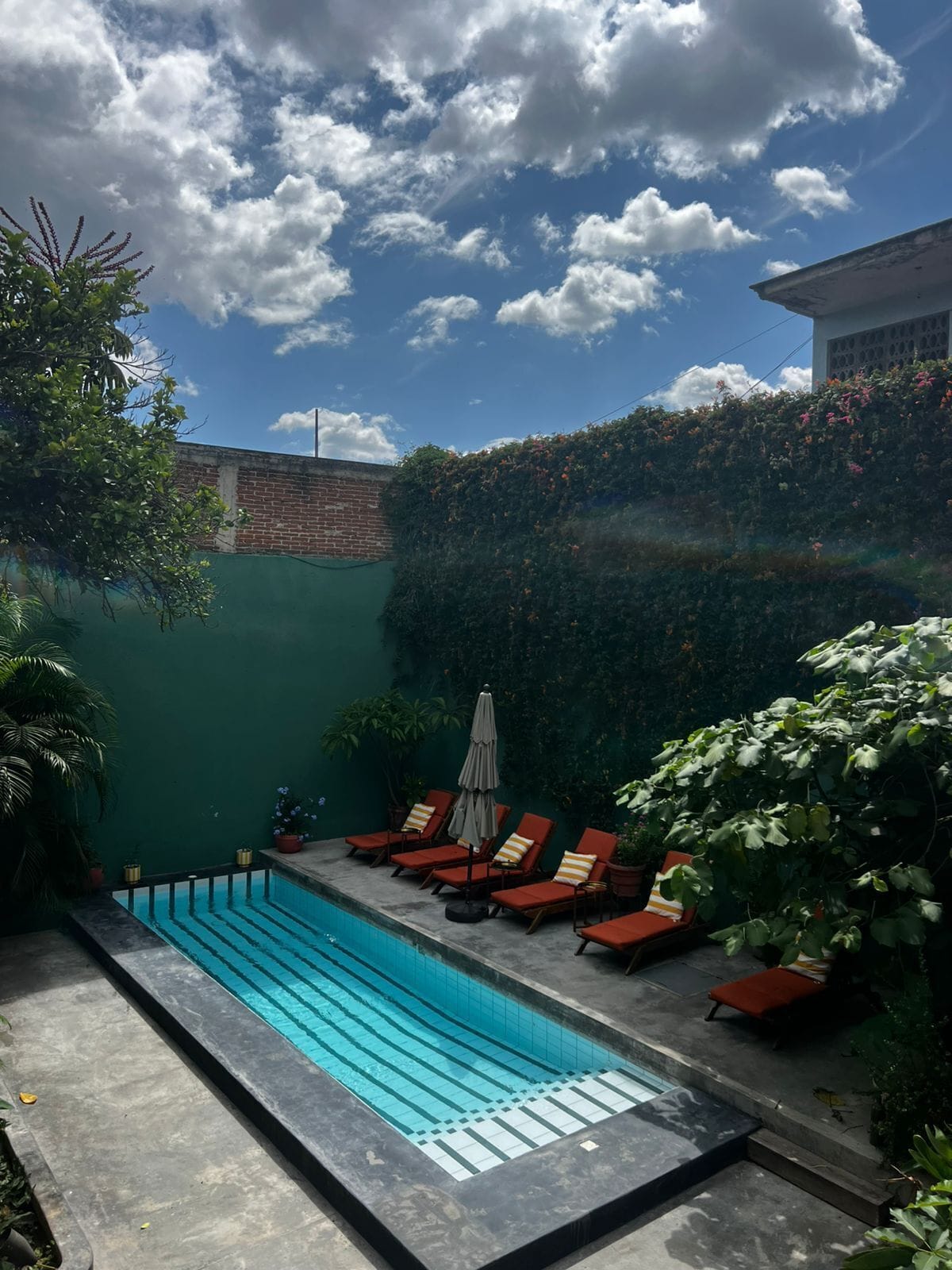 Photo - Ginger Banana Hostel