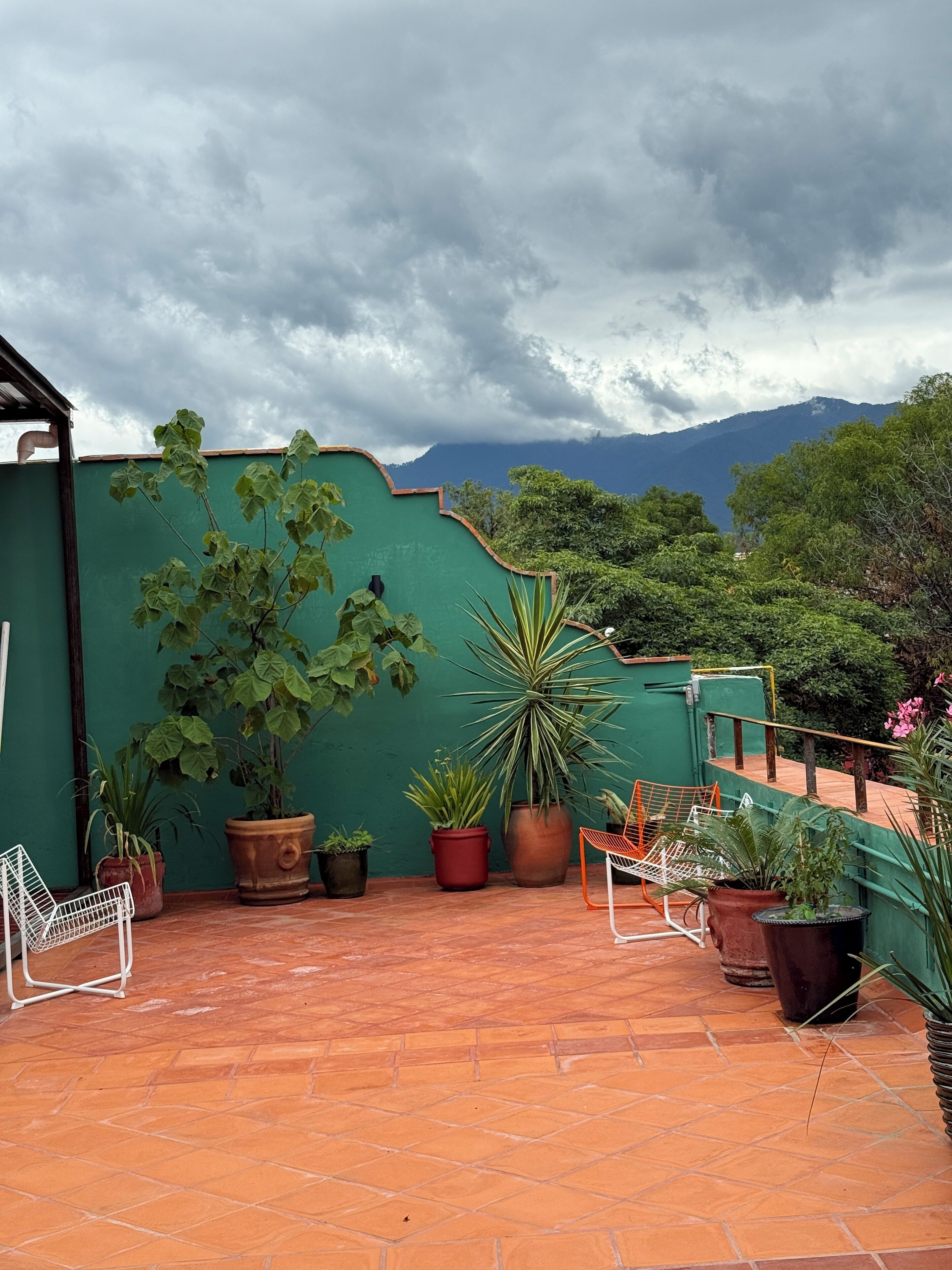 Photo - Ginger Banana Hostel