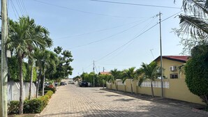 Una calle pavimentada bordeada de palmeras y casas, con automóviles estacionados a un lado.