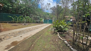 A garden pathway with banana plants and a stone border. - MEXICAN HOUSE WITH LOVE (San Sebastián del Oeste)