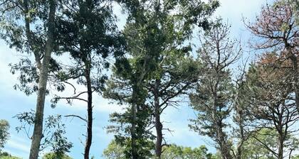 Summer house in Centerville/Barnstable, 5 min from lake, close to cape cod mall