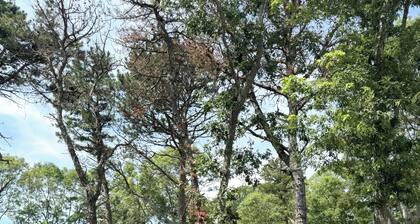 Summer house in Centerville/Barnstable, 5 min from lake, close to cape cod mall