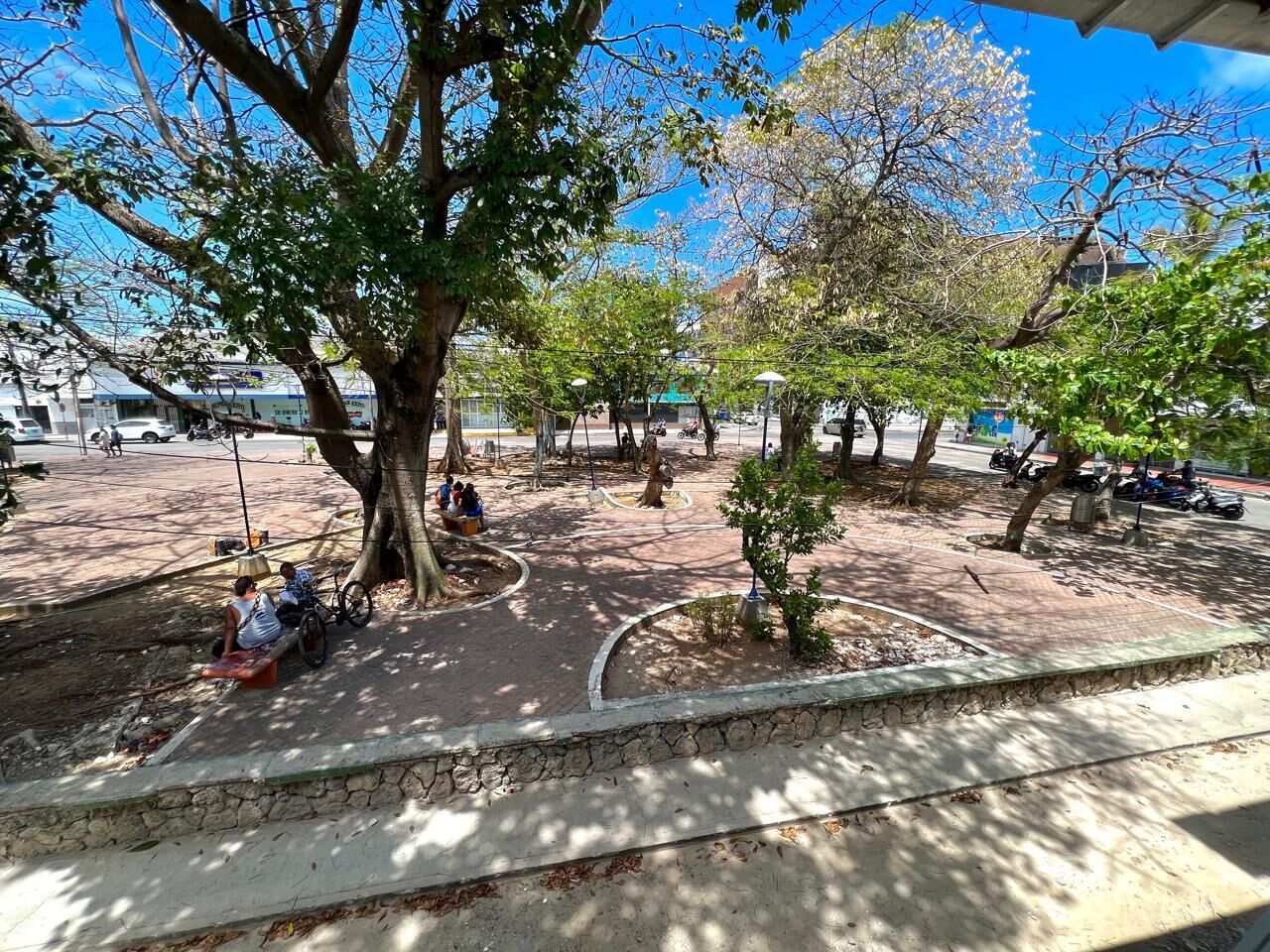 Egy park, amelyben padok, fák és egy kiépített sétaút található.