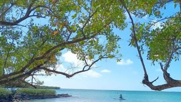 A beach with clear water, rocky shore, and a person paddling in the distance.