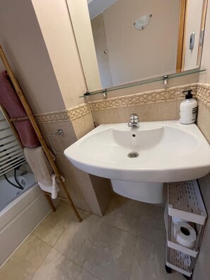 Bidet, towels, soap, toilet paper