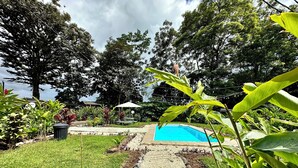 Un jardin avec une piscine, entouré de différentes plantes et arbres.