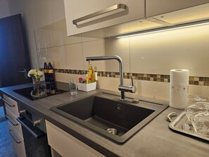 Fridge, microwave, oven, stovetop - Little Rhine View Château (Harry): on the largest Rhine bend/loop with terrance (Boppard)