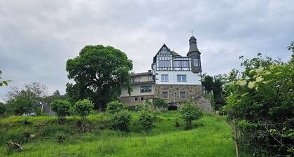 Rheinblick Schlösschen (Harry): on der größter Rheinschleife mit Terrasse
