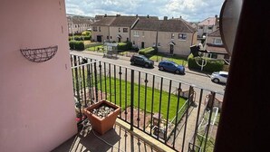 En balkon med udsigt over en boligvej, et metalhegn og en potteplante.