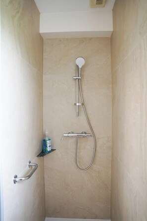 Shower, hair dryer, toilet paper