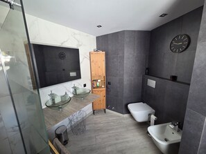 Shower, hair dryer, bidet, towels