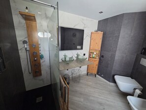 Regadera, secadora de cabello, bidet, toallas 