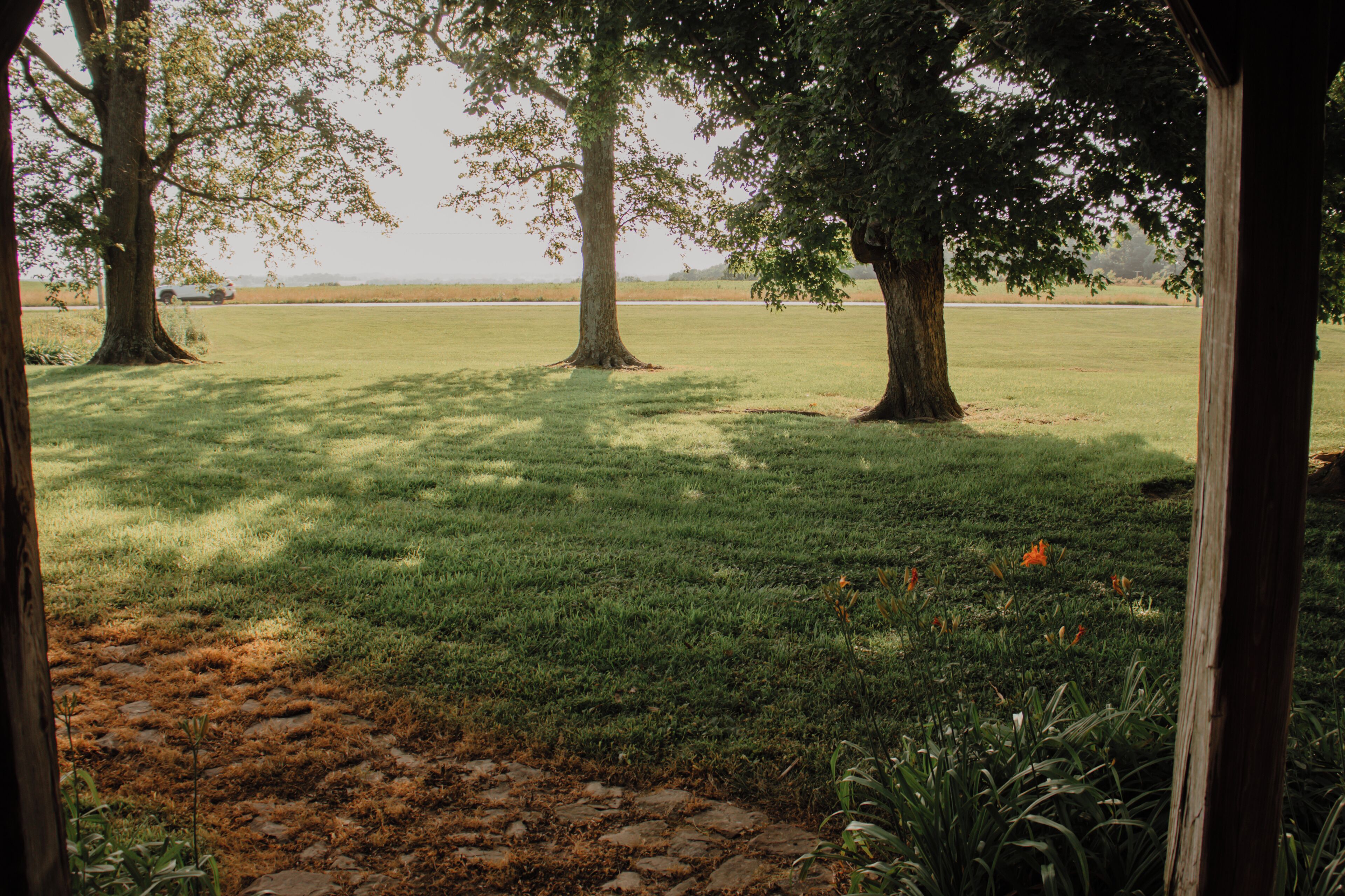A view of a grassy field with trees and a stone pathway.