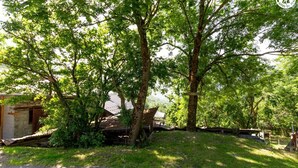 A rustic cabin with a wooden deck, surrounded by lush greenery and trees.