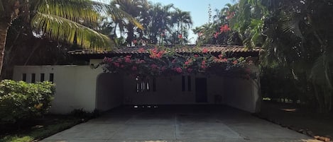 A concrete driveway leading to a building with a tiled roof, surrounded by lush greenery and palm trees.
