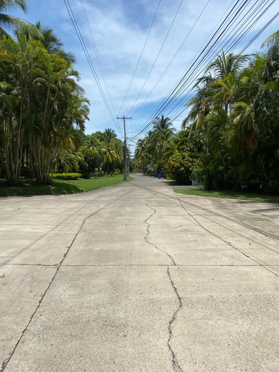 A wide, straight concrete road flanked by lush green palm trees under a clear sky.