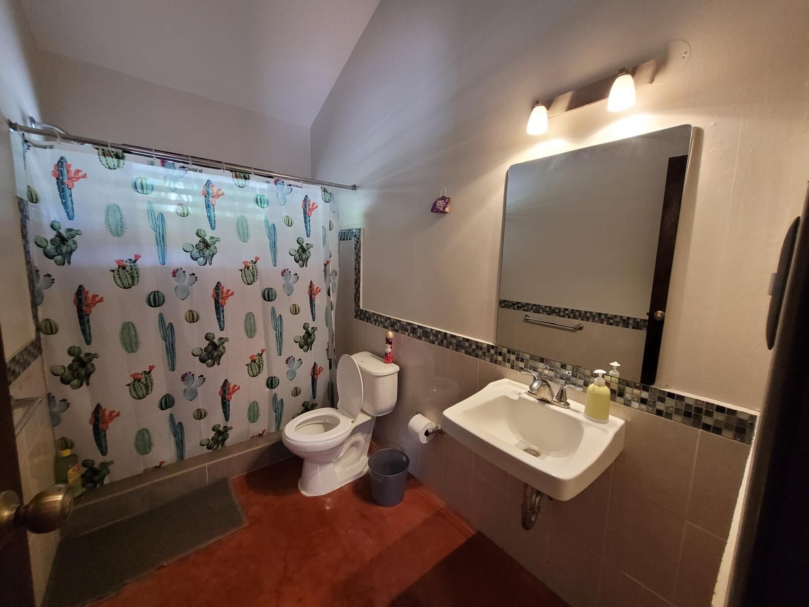 A bathroom with a toilet, sink, mirror, and shower curtain with a cactus pattern.