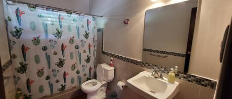A bathroom with a toilet, sink, mirror, and shower curtain with a cactus pattern.