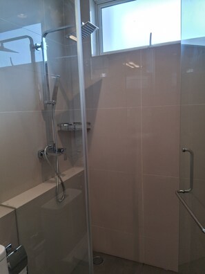 Shower, hair dryer, towels, toilet paper