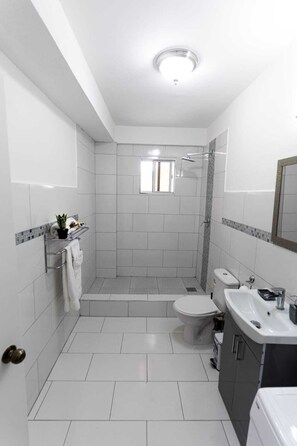 Ducha, toallas, jabón, papel higiénico