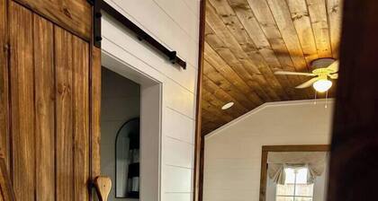 Mini Mallard at Reelfoot Lake