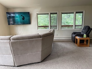 TV connectée, cheminée, livres